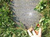 image of grave number 178631